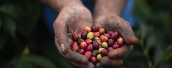 Complete the Fairtrade Quiz to enter our prize draw.