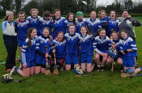 Hayes Cup Camogie Champons!
