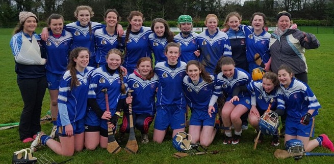 Hayes Cup Champions 2016: The Ennis Community College / Gaelcholáiste an Chláir Team